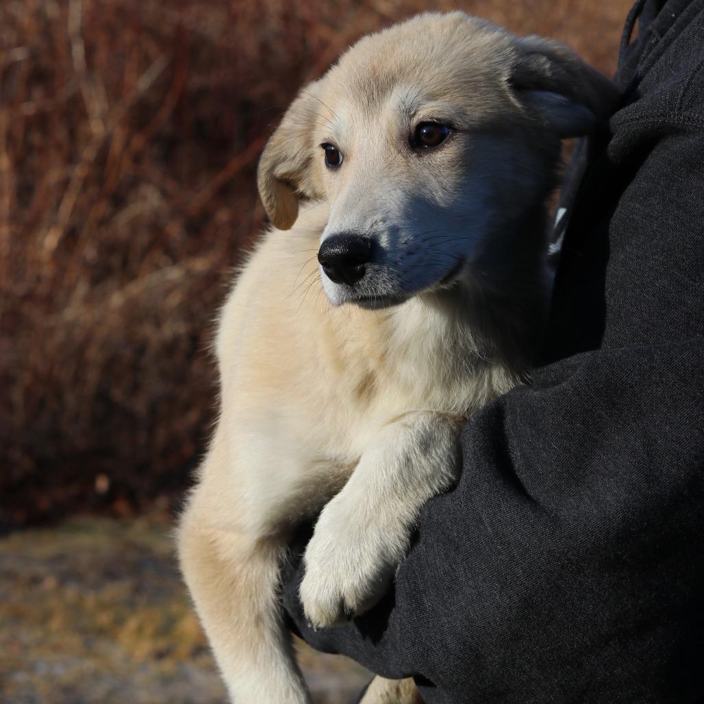 Ct Elaine thumbnail 4