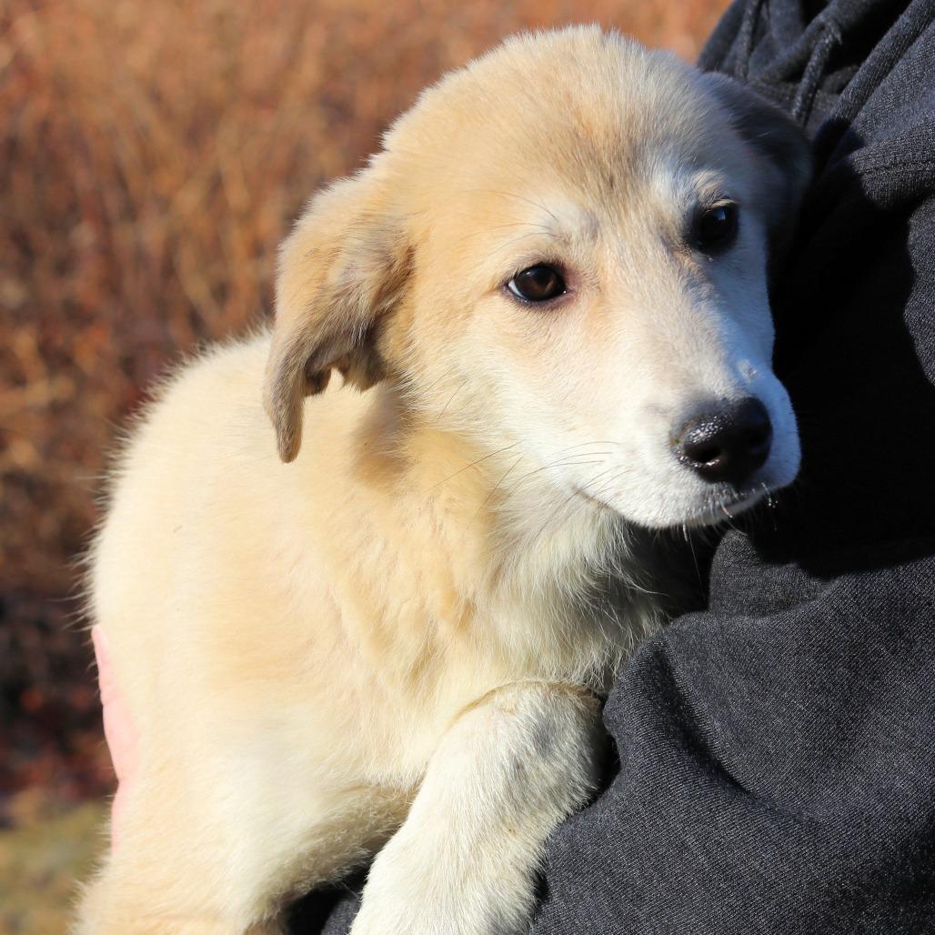 Ct Elaine thumbnail 5