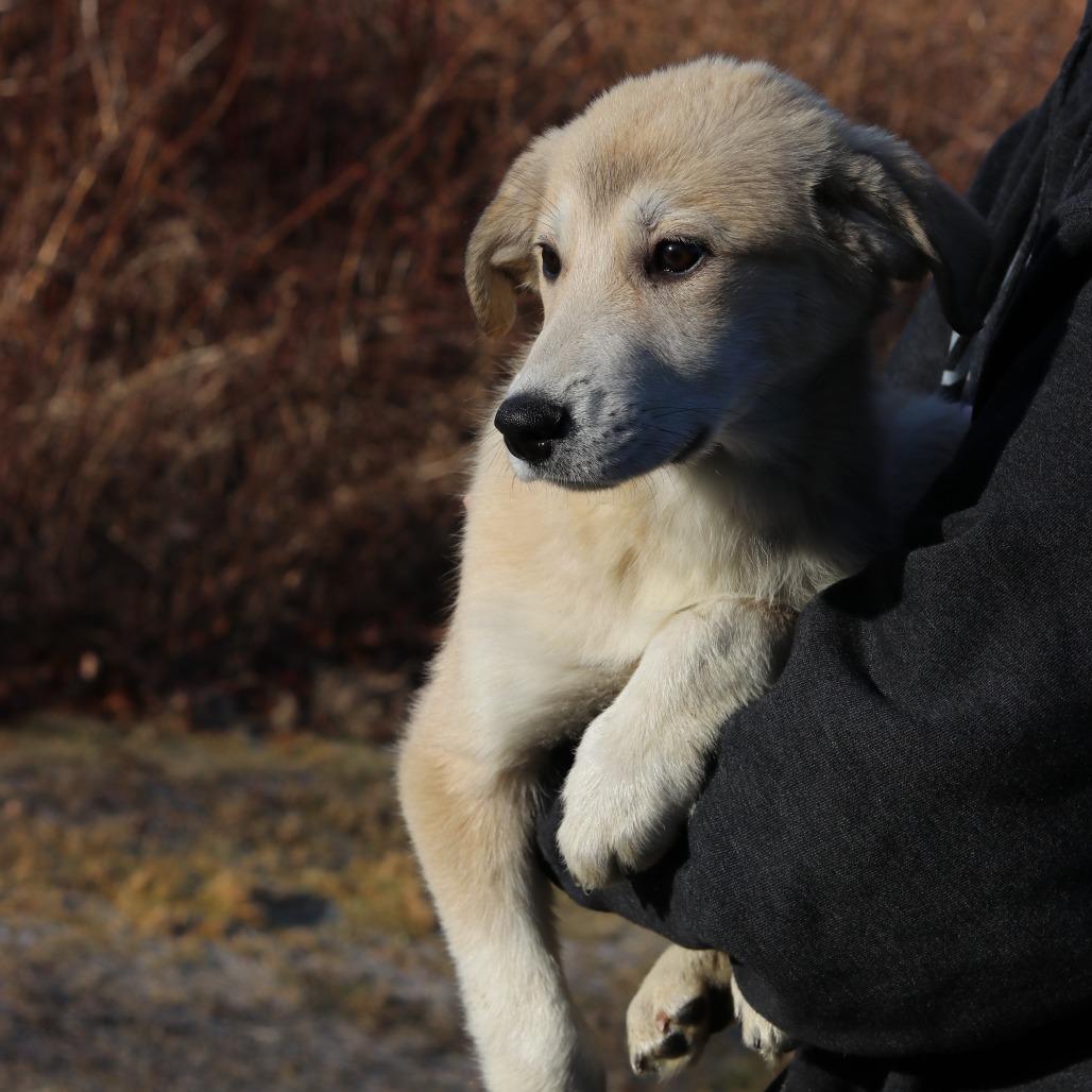 Ct Elaine thumbnail 6