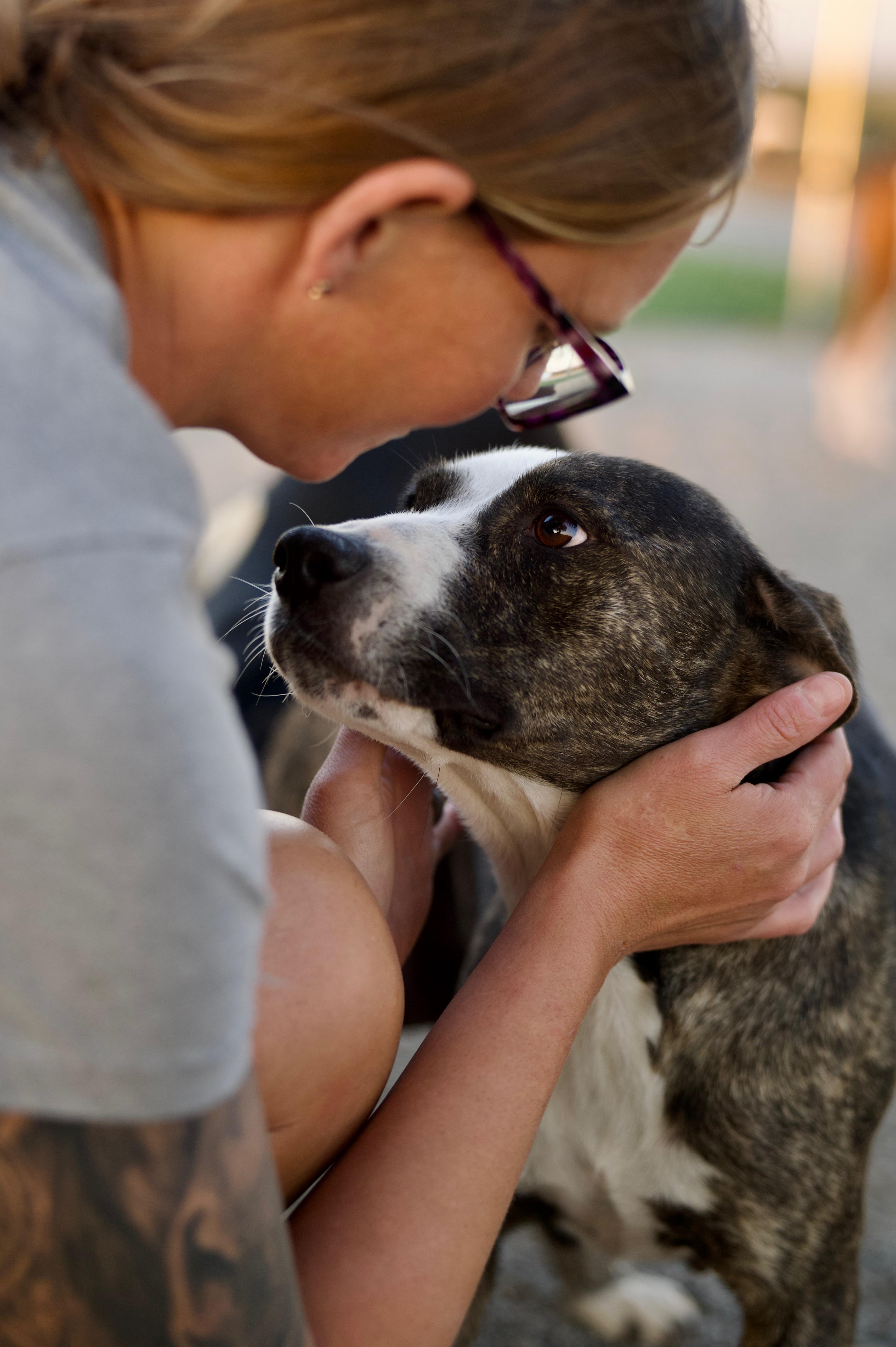 Enlarge Lavender, a Adoptable mixed breed in Hiawatha, KS image 2/5