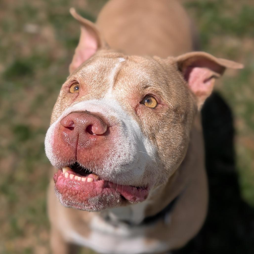 Blue — thumbnail 3