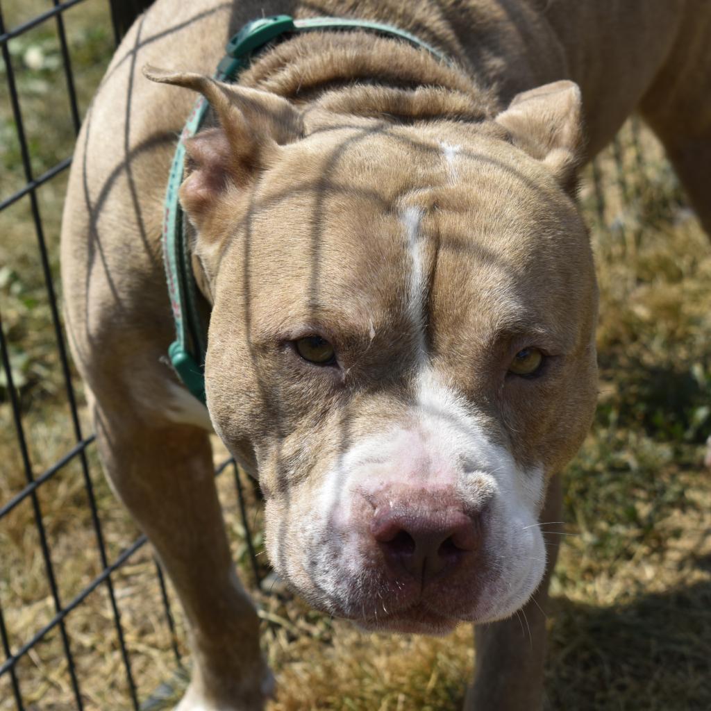 Blue — thumbnail 5