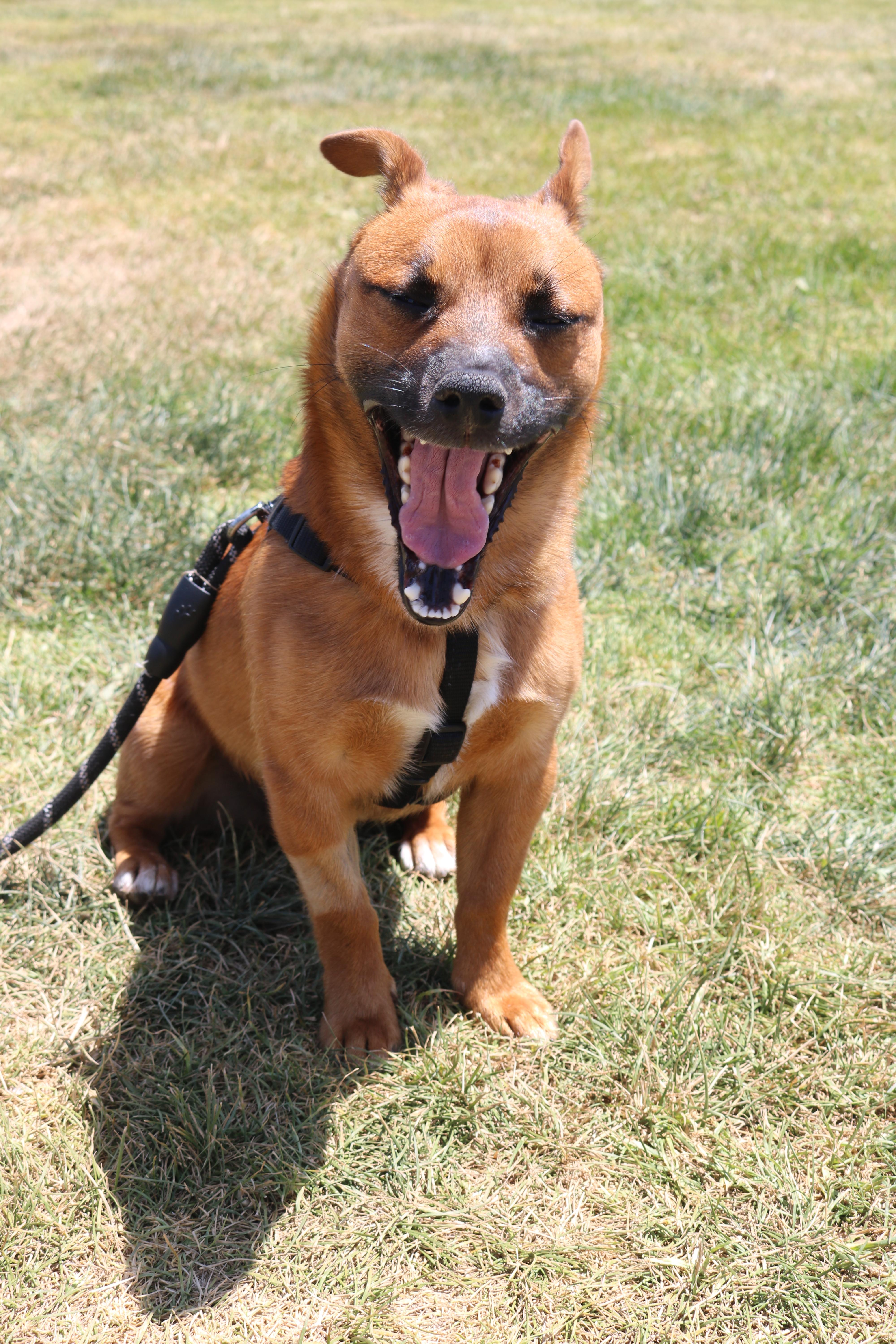 Tiko photo 6