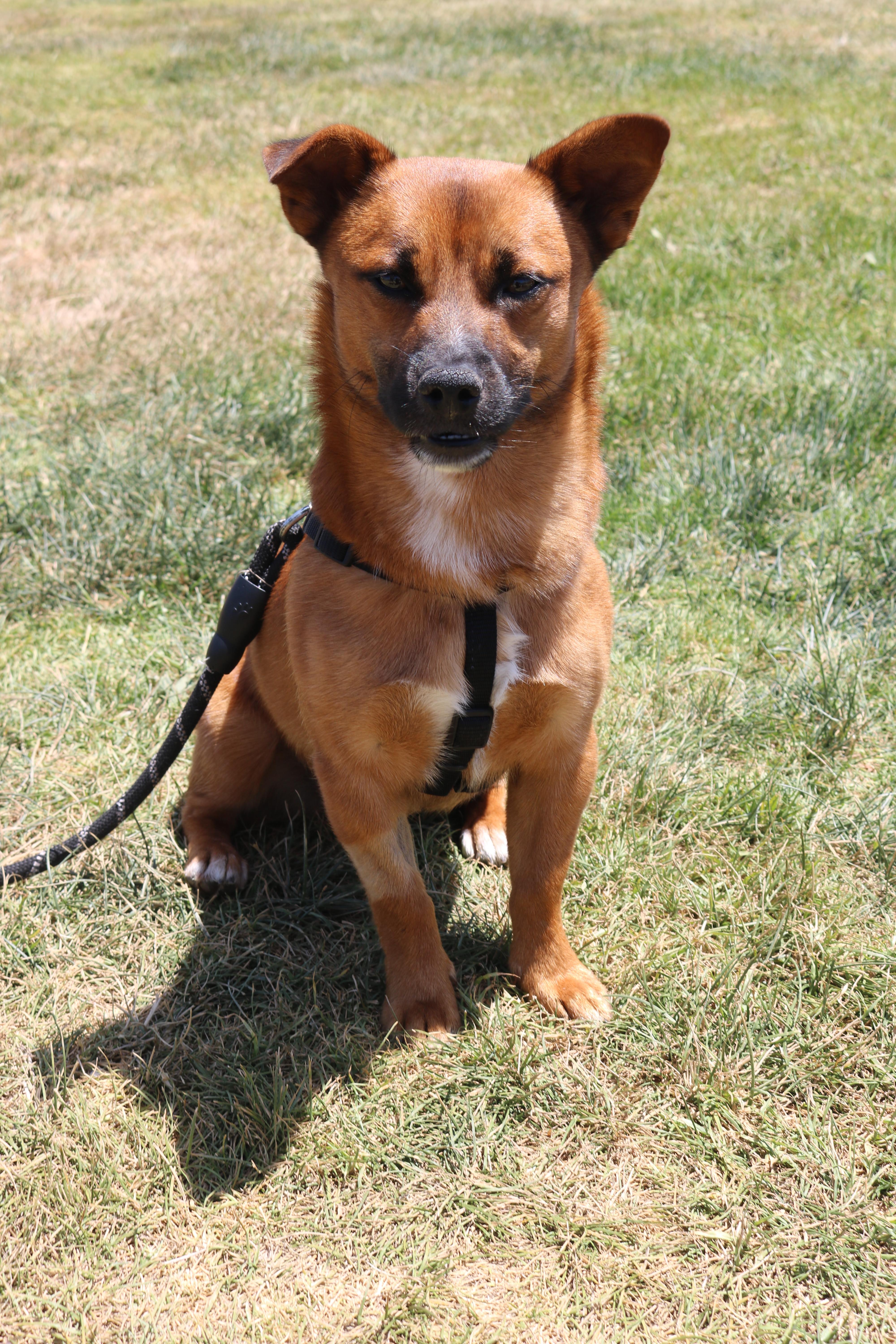 Tiko photo 3