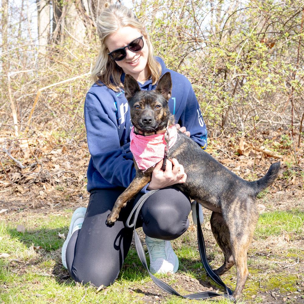 Enlarge Bindi  (Female), a Adoptable mixed breed in West Grove, PA image 6/6