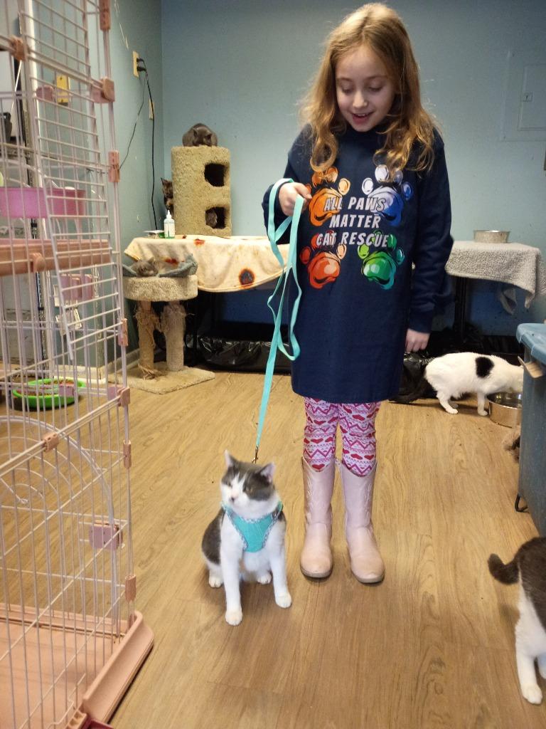 Enlarge Habanero, a Adoptable mixed breed in LIberty, NY image 5/5