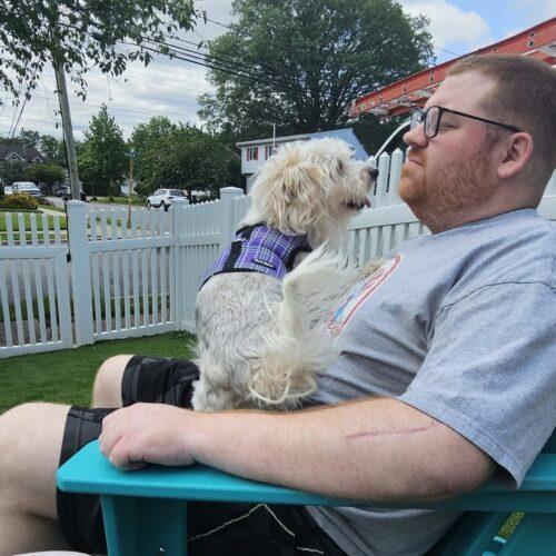 Enlarge Mr.  Marbles, a Adoptable Morkie in Verona, NJ image 5/5