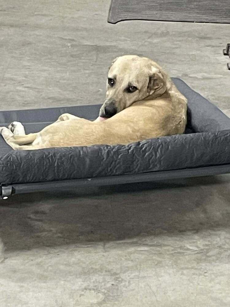 Claire — thumbnail 4