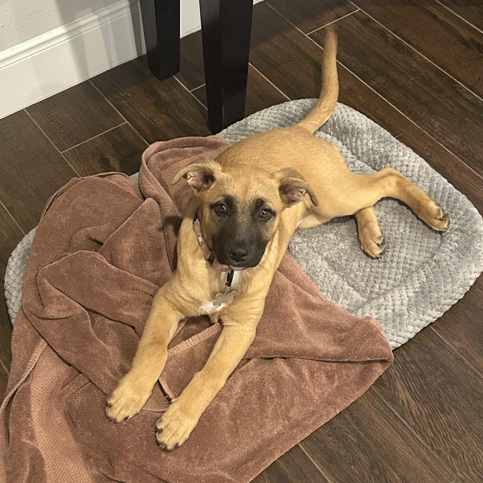 Faye — thumbnail 3