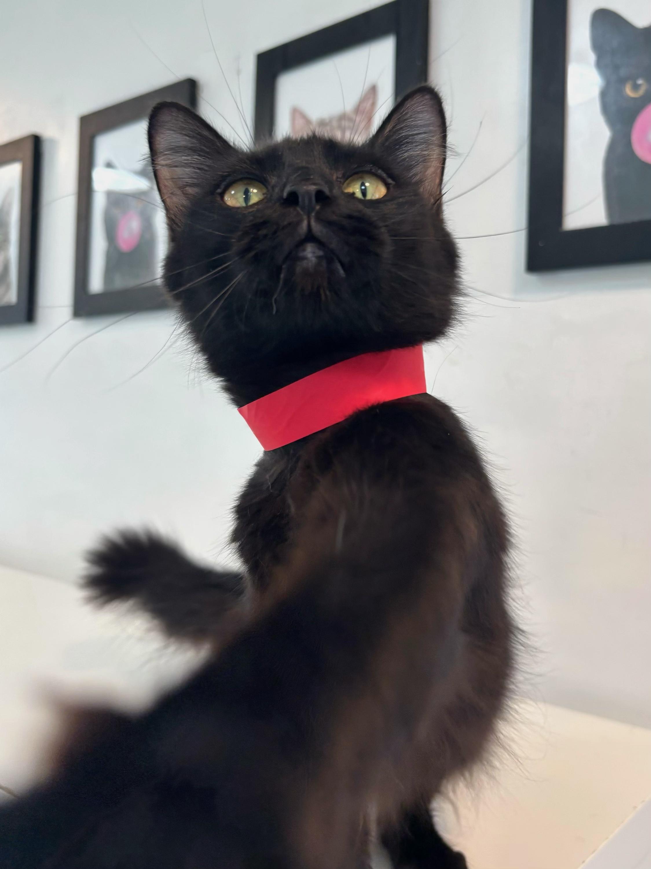 Tina