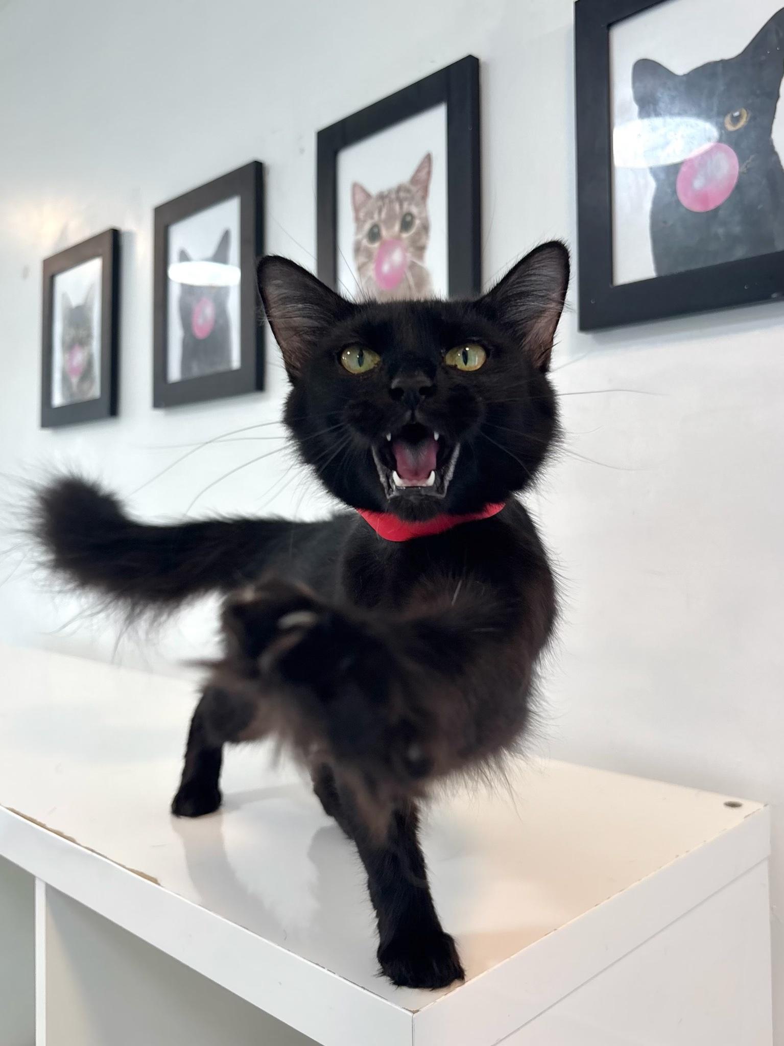 Tina