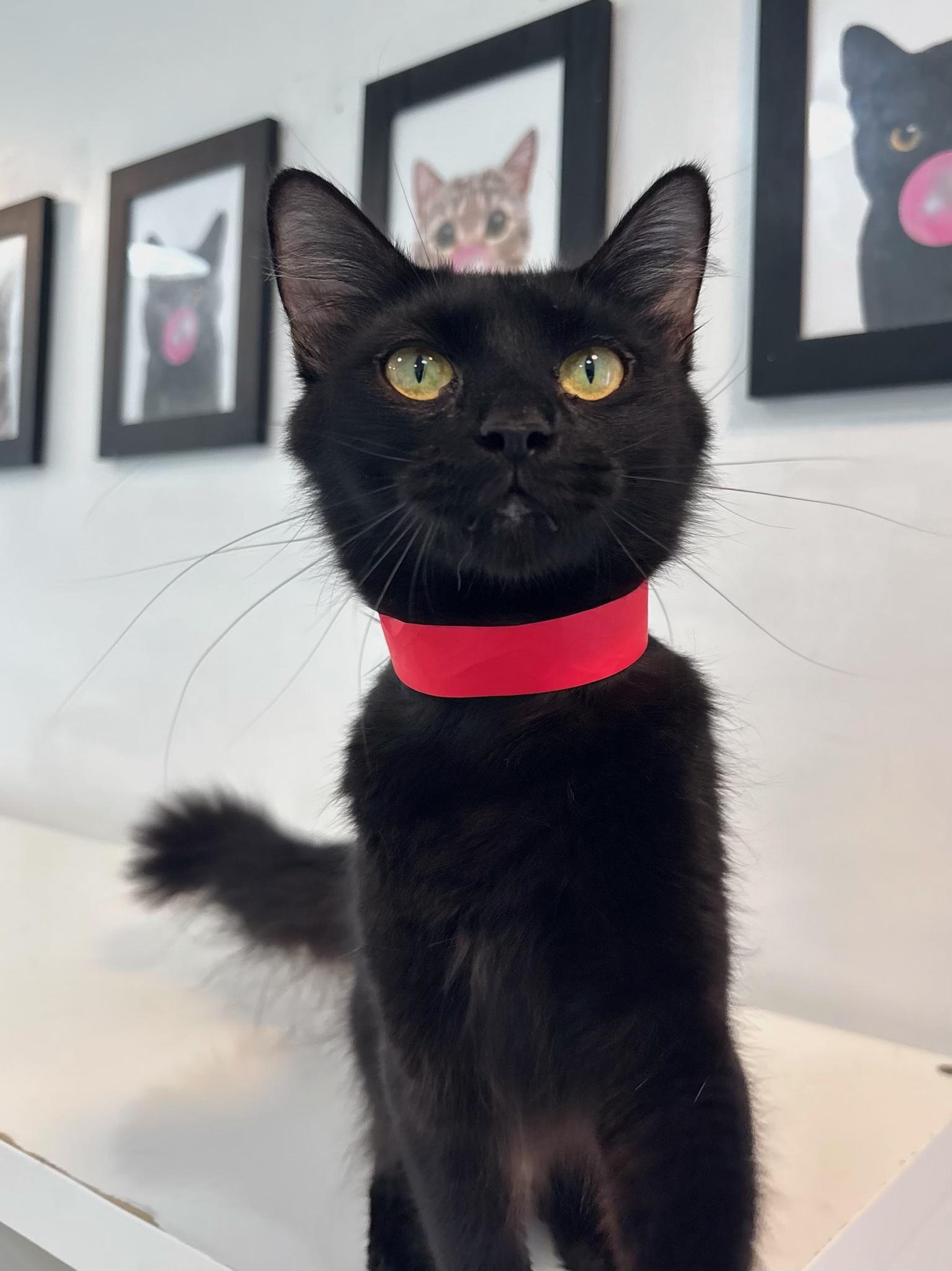 Tina