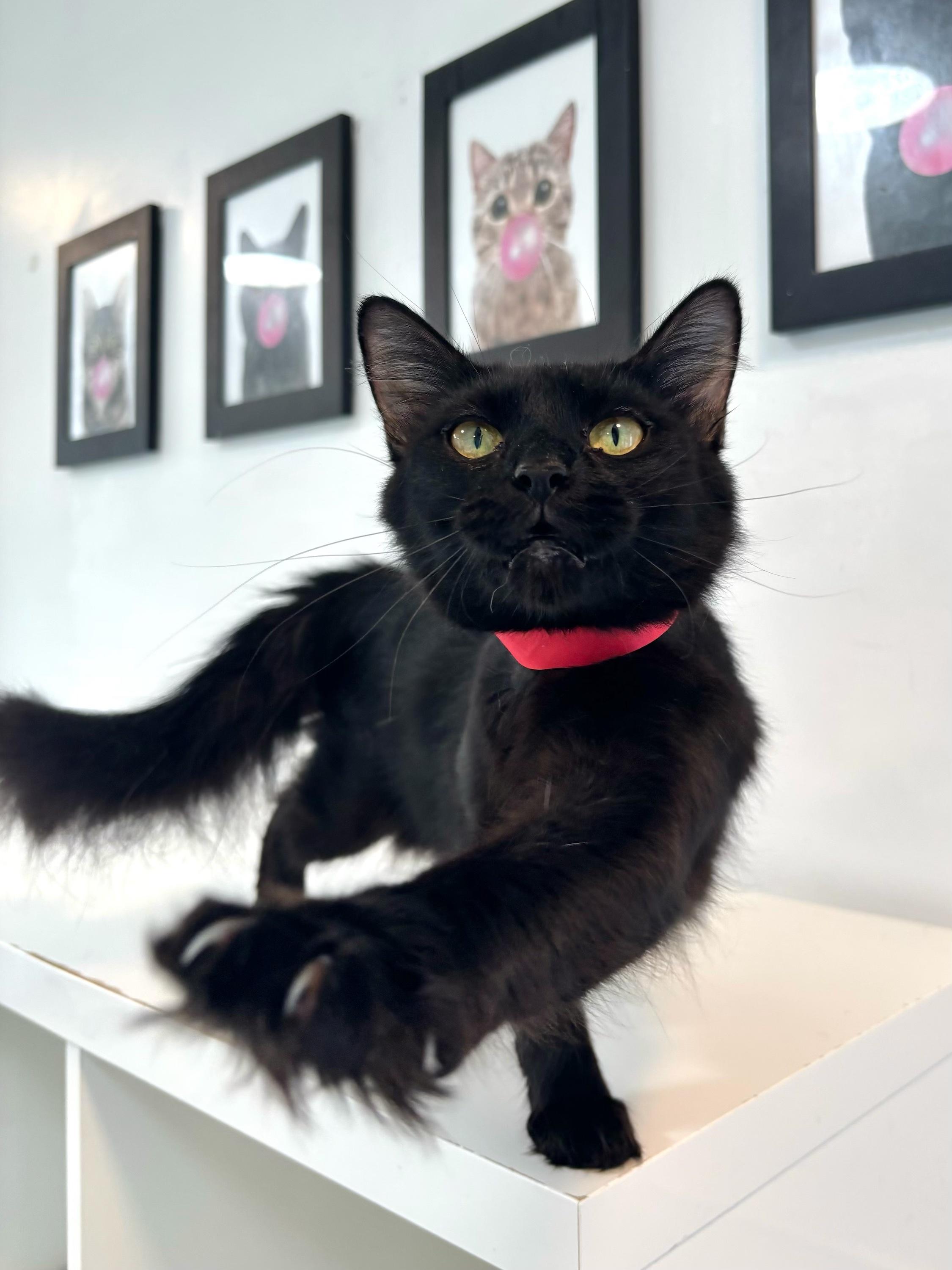 Tina