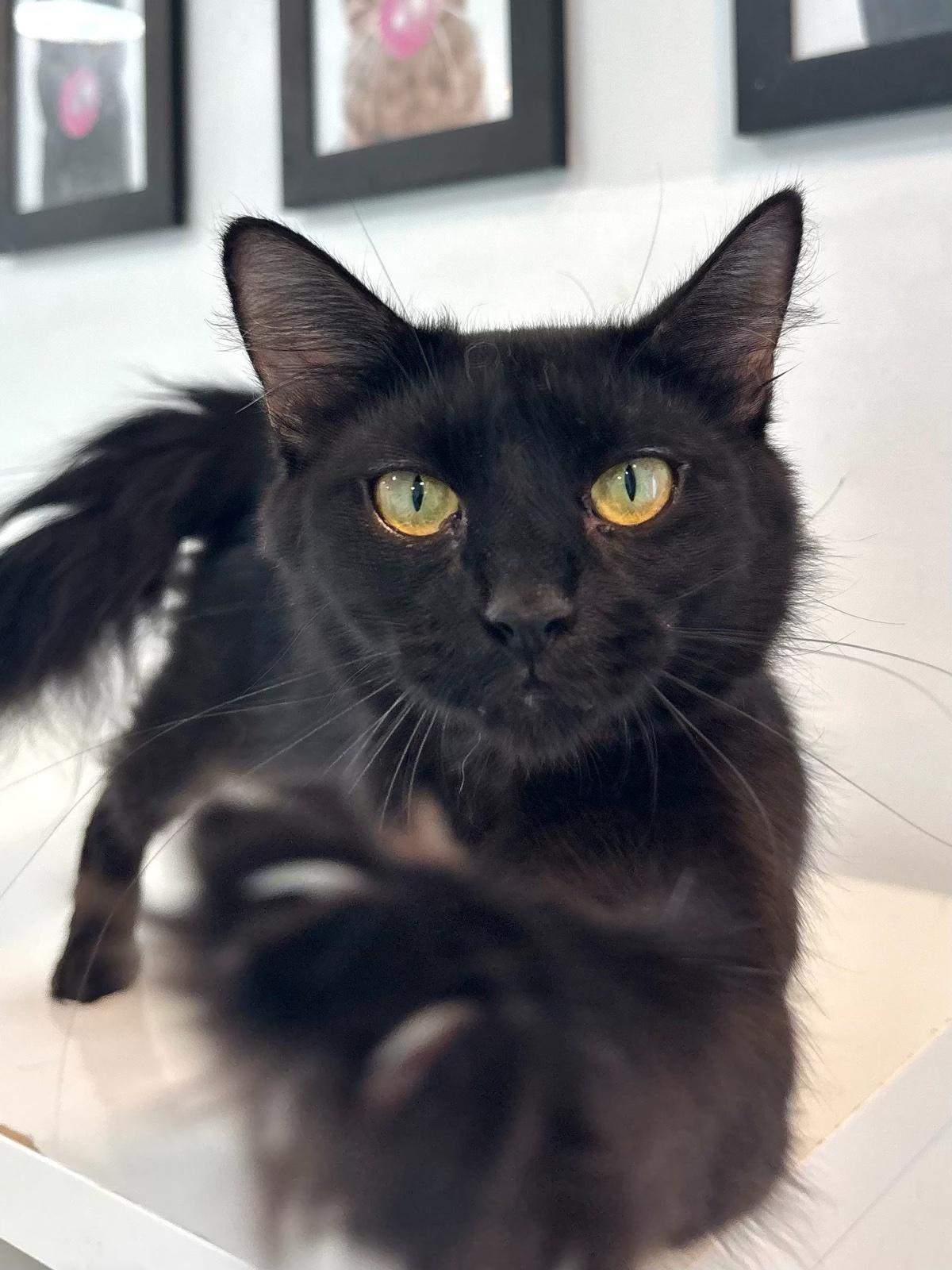 Tina