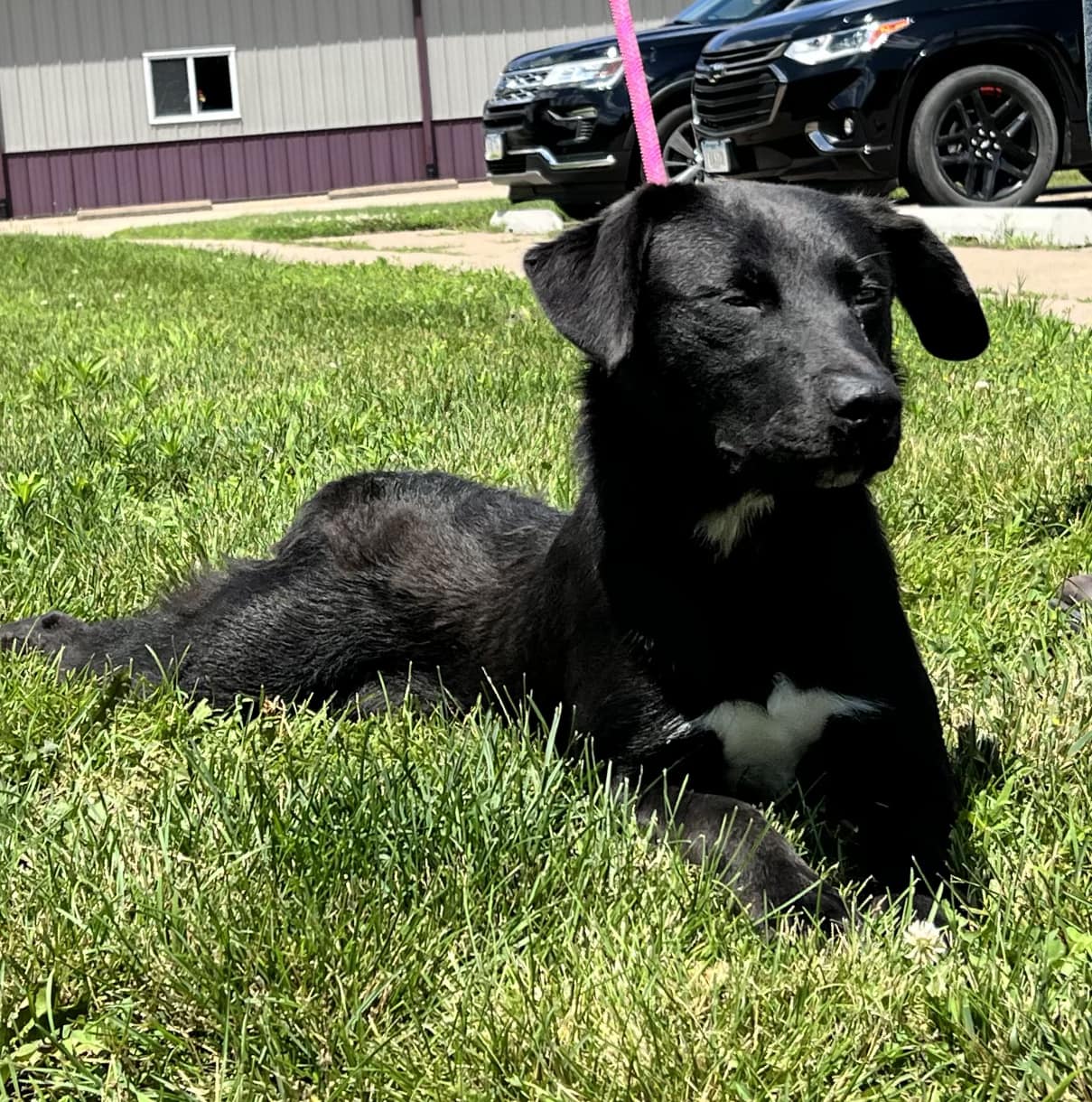 Cooper