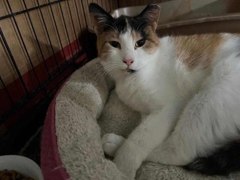 Valerie — thumbnail 2