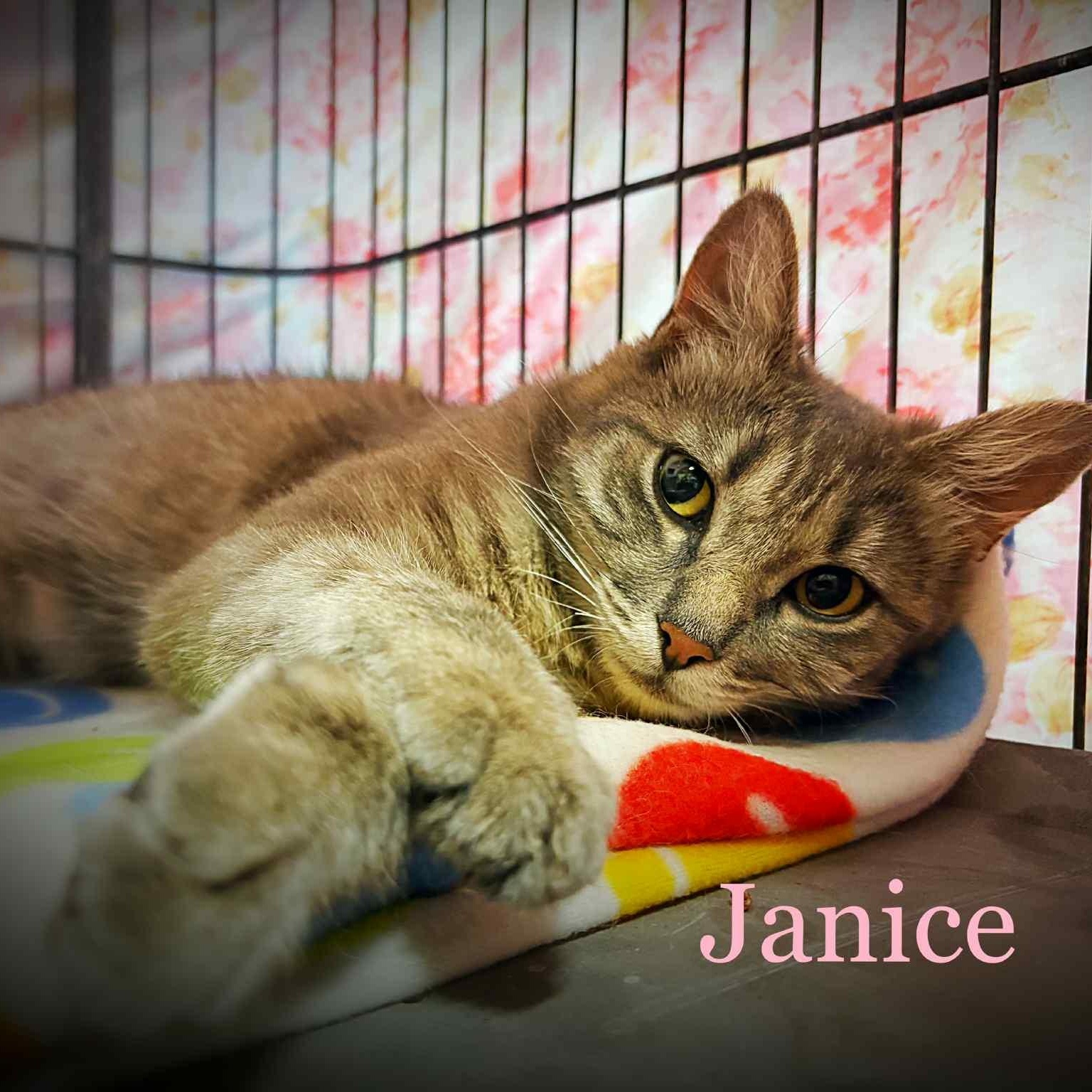 Janice