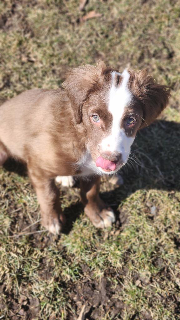 Glimmer — thumbnail 4