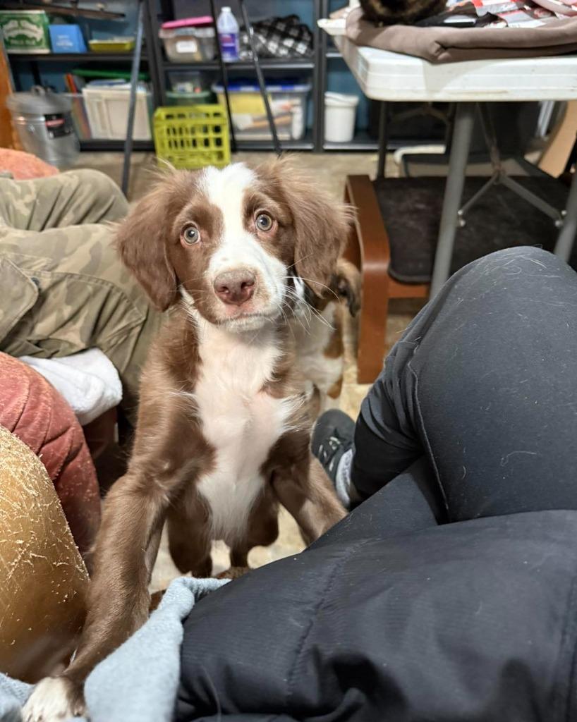 Glimmer — thumbnail 5