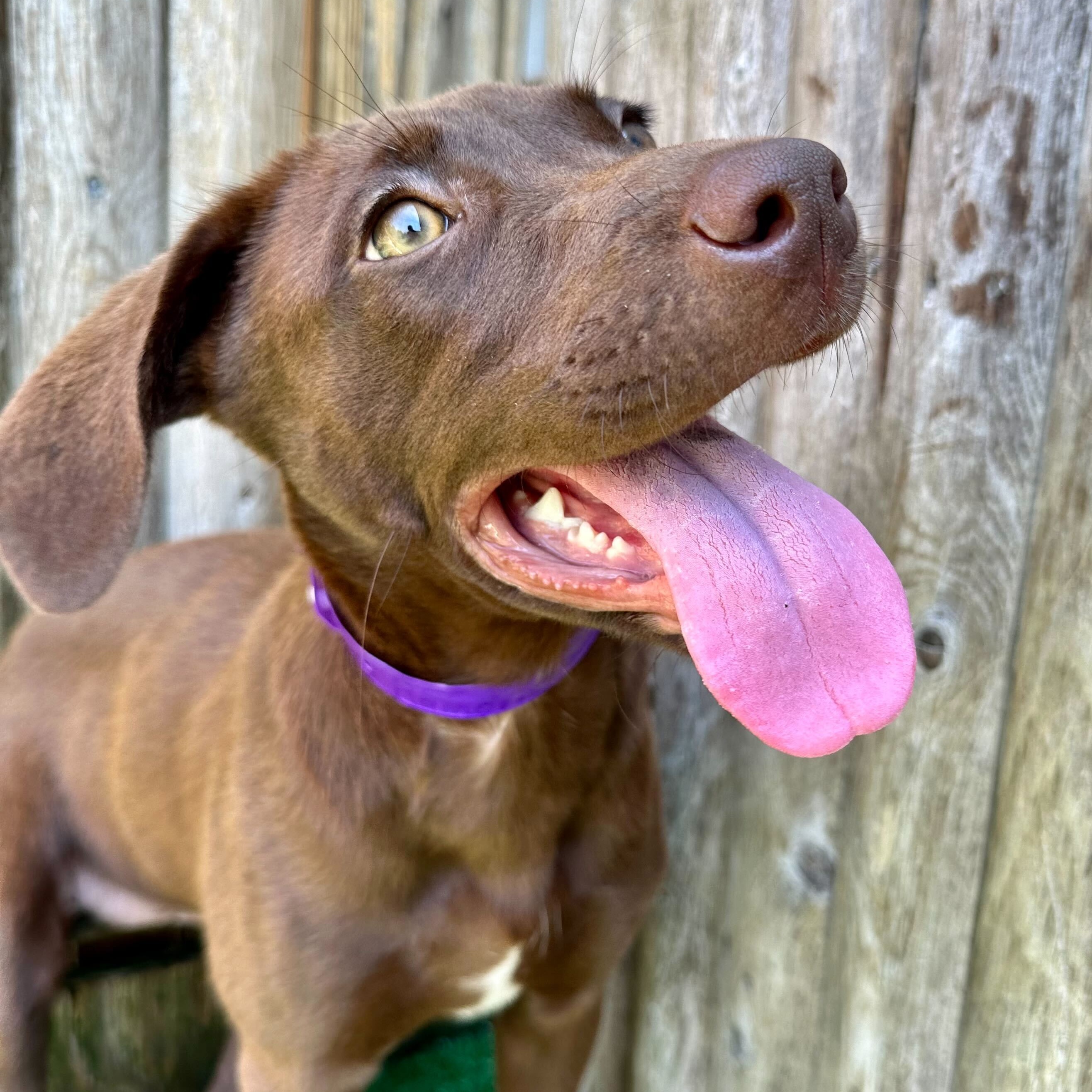 Ramona *HERE IN NH*