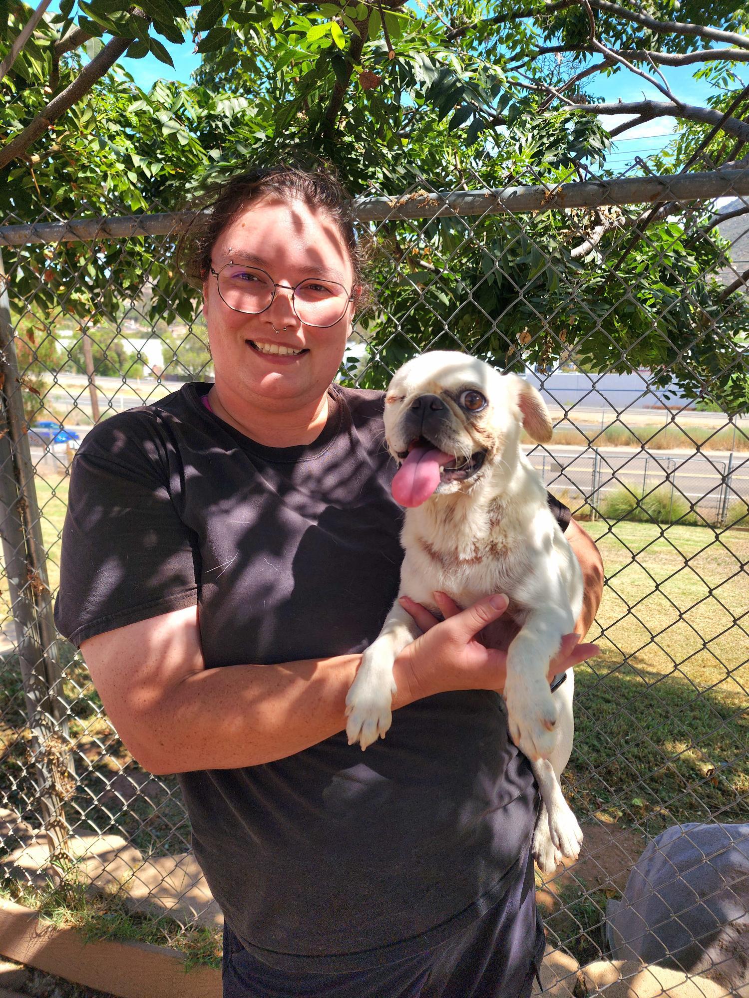 Enlarge Lilypad, a Adoptable mixed breed in El Cajon, CA image 3/4