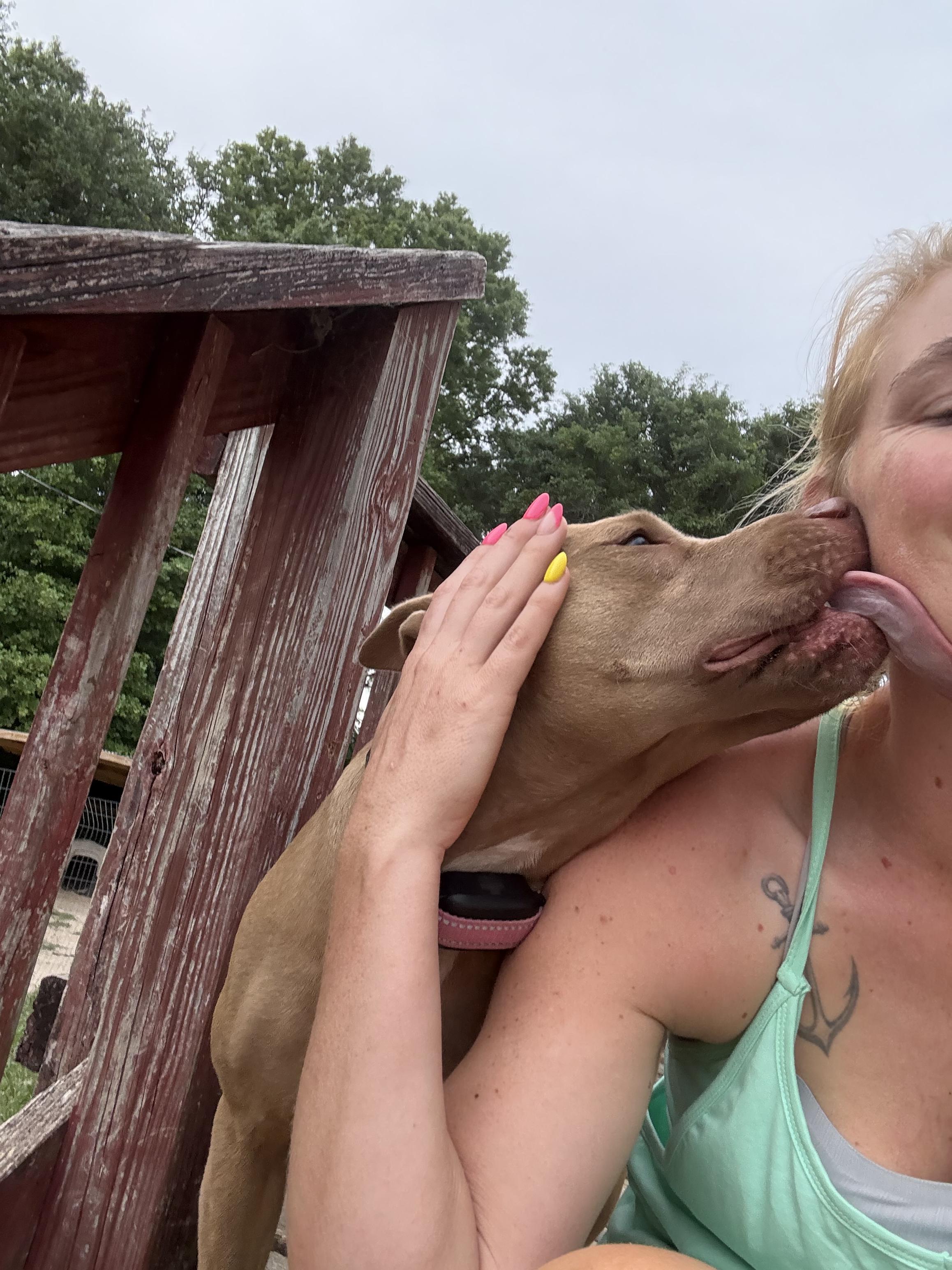 Enlarge Hazel, a Adopted Pit Bull Terrier in Grand ridge, FL image 3/4