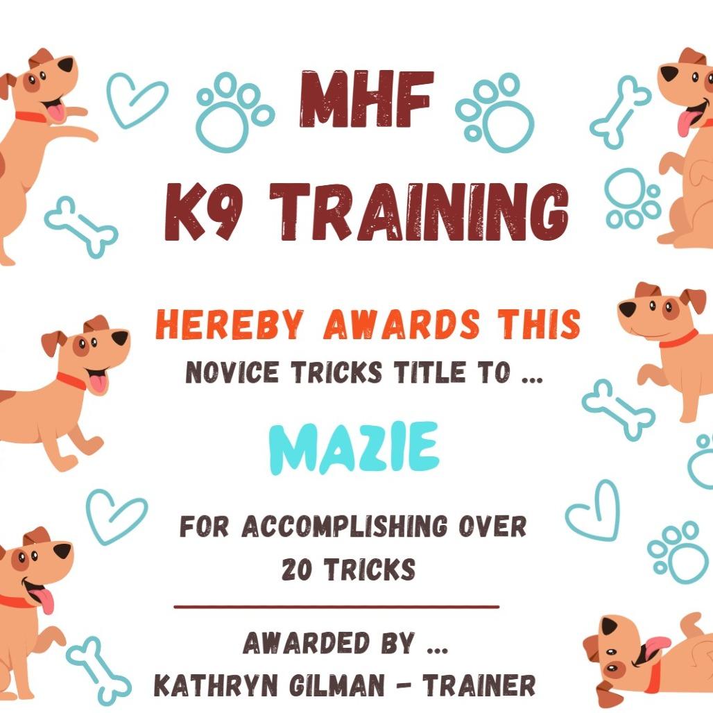 Mazie, Adoptable, Adult Female Mixed Breed.