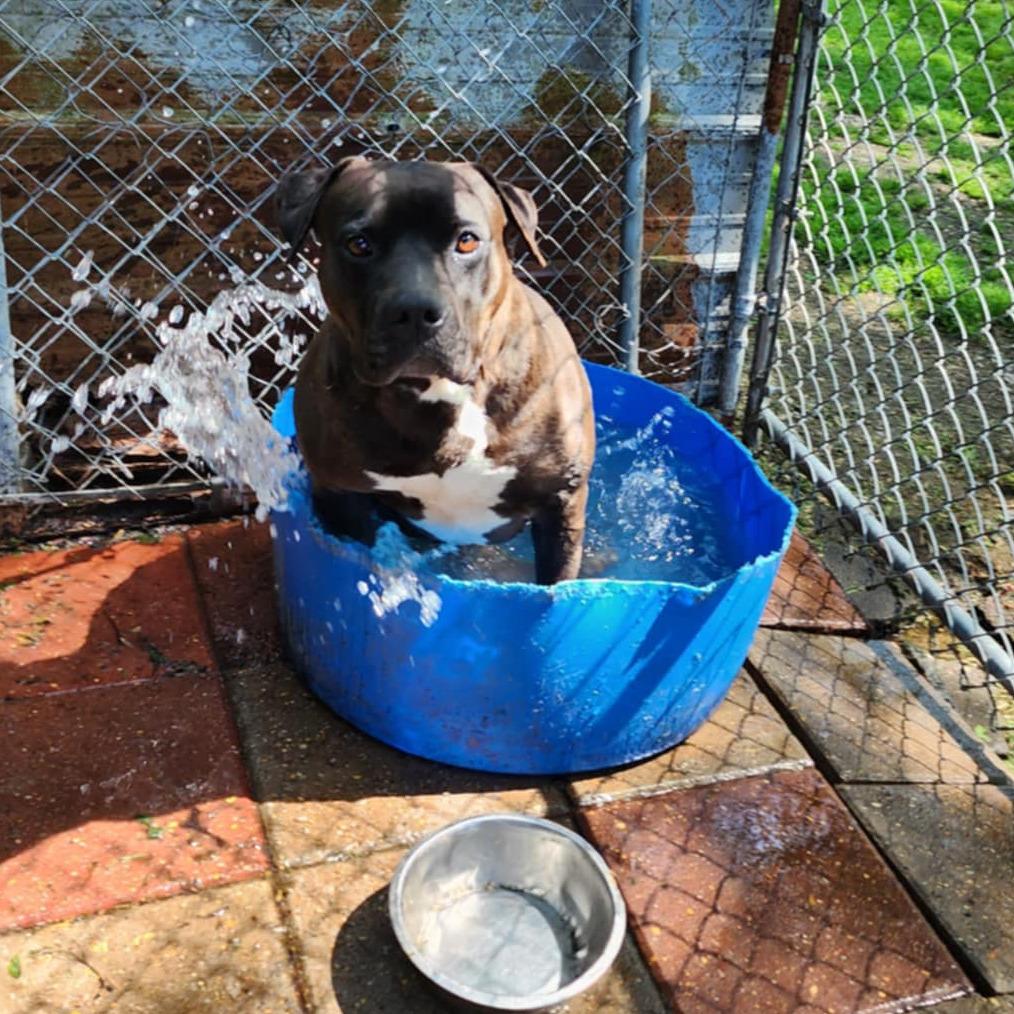 Lady — thumbnail 3