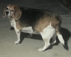 Penny photo 5