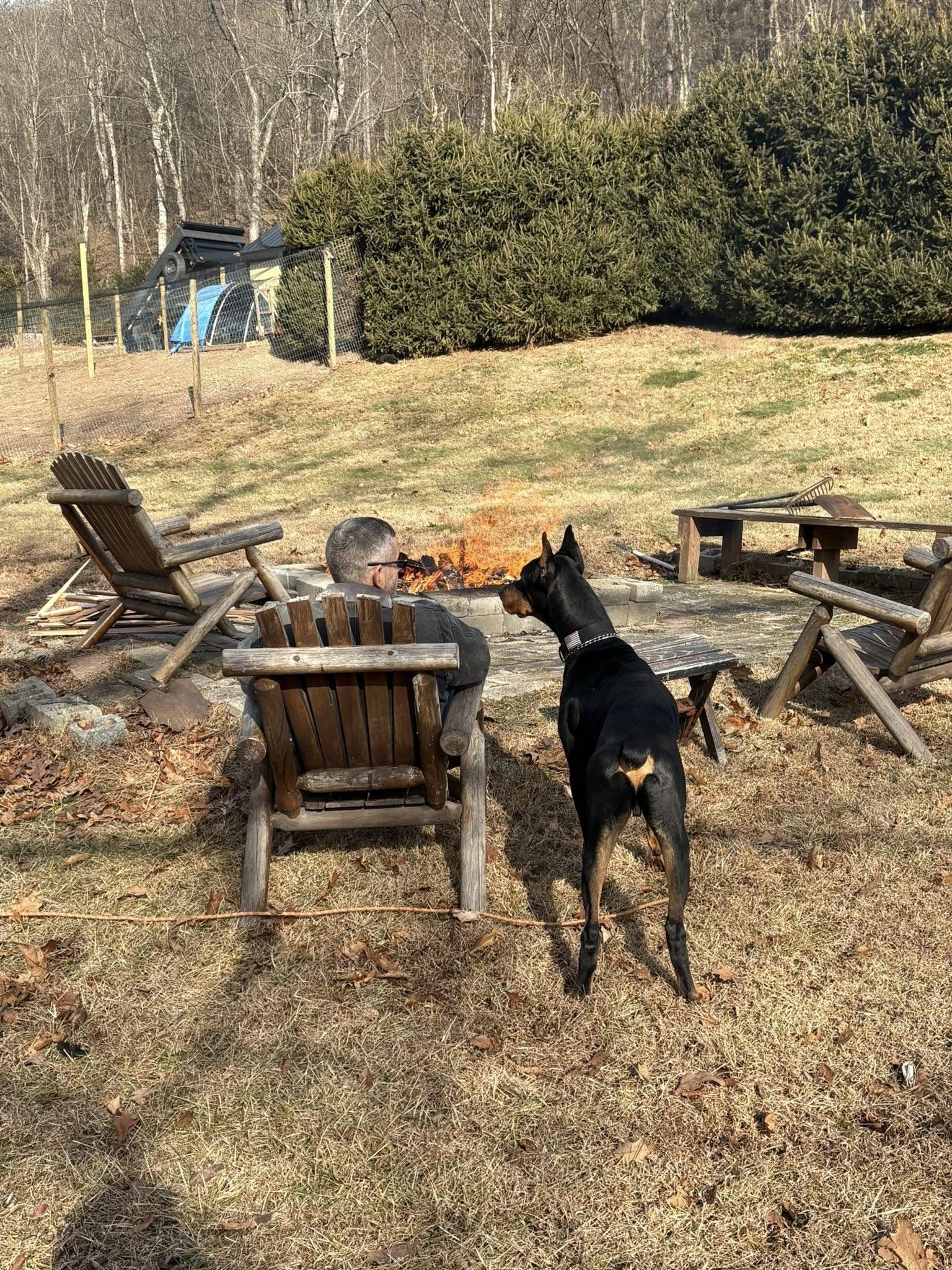 Enlarge Bricks, a Adoptable Doberman Pinscher in Fleetwood, PA image 5/5