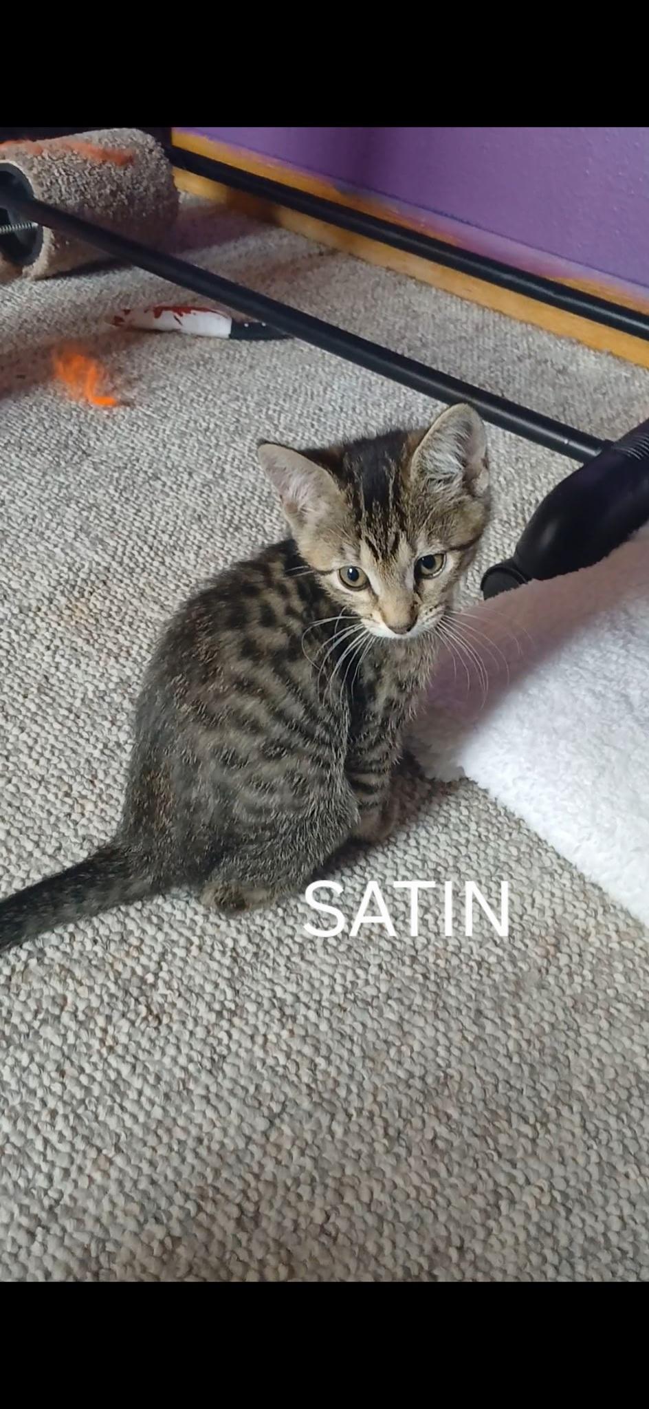 Satin
