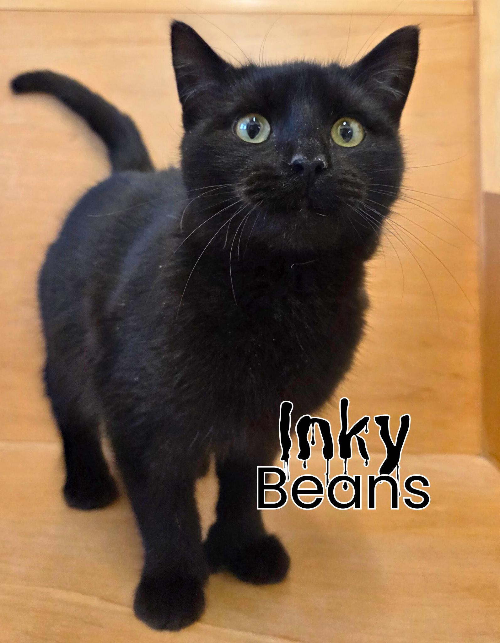 Inky Beans