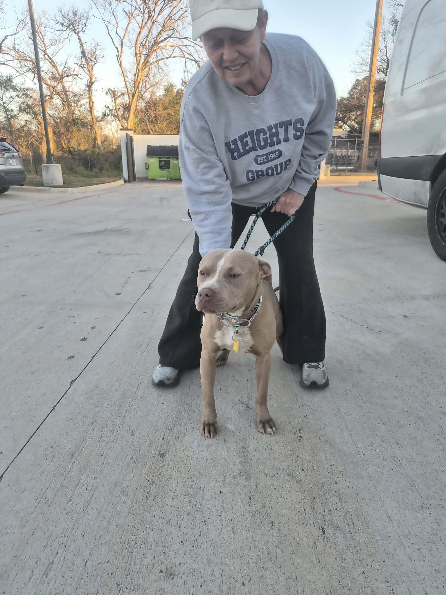 Enlarge Kitty, a ADOPTABLE Pit Bull Terrier in Camden, OH image 1/4