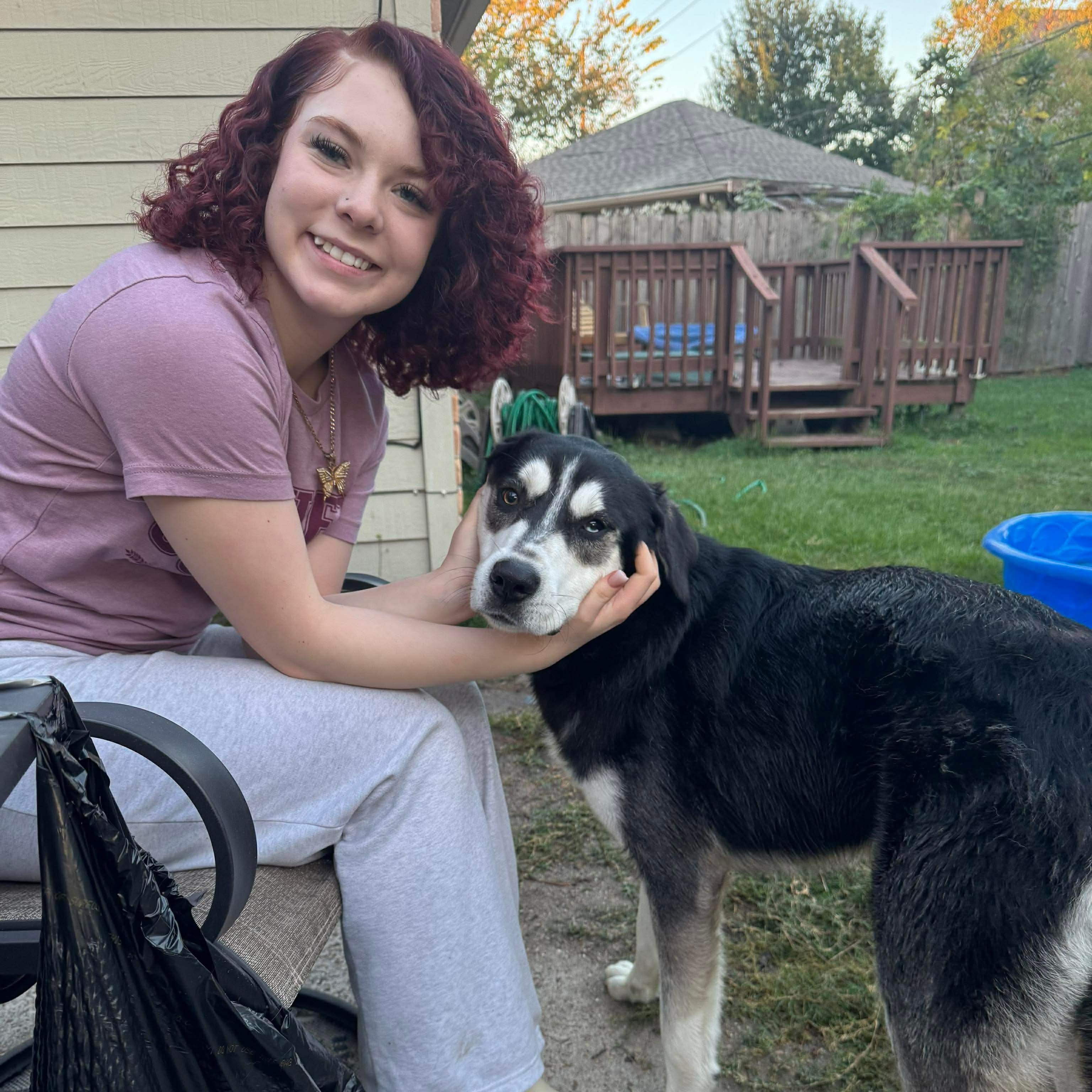 Enlarge Ivan, a Adoptable mixed breed in Kennewick, WA image 3/6