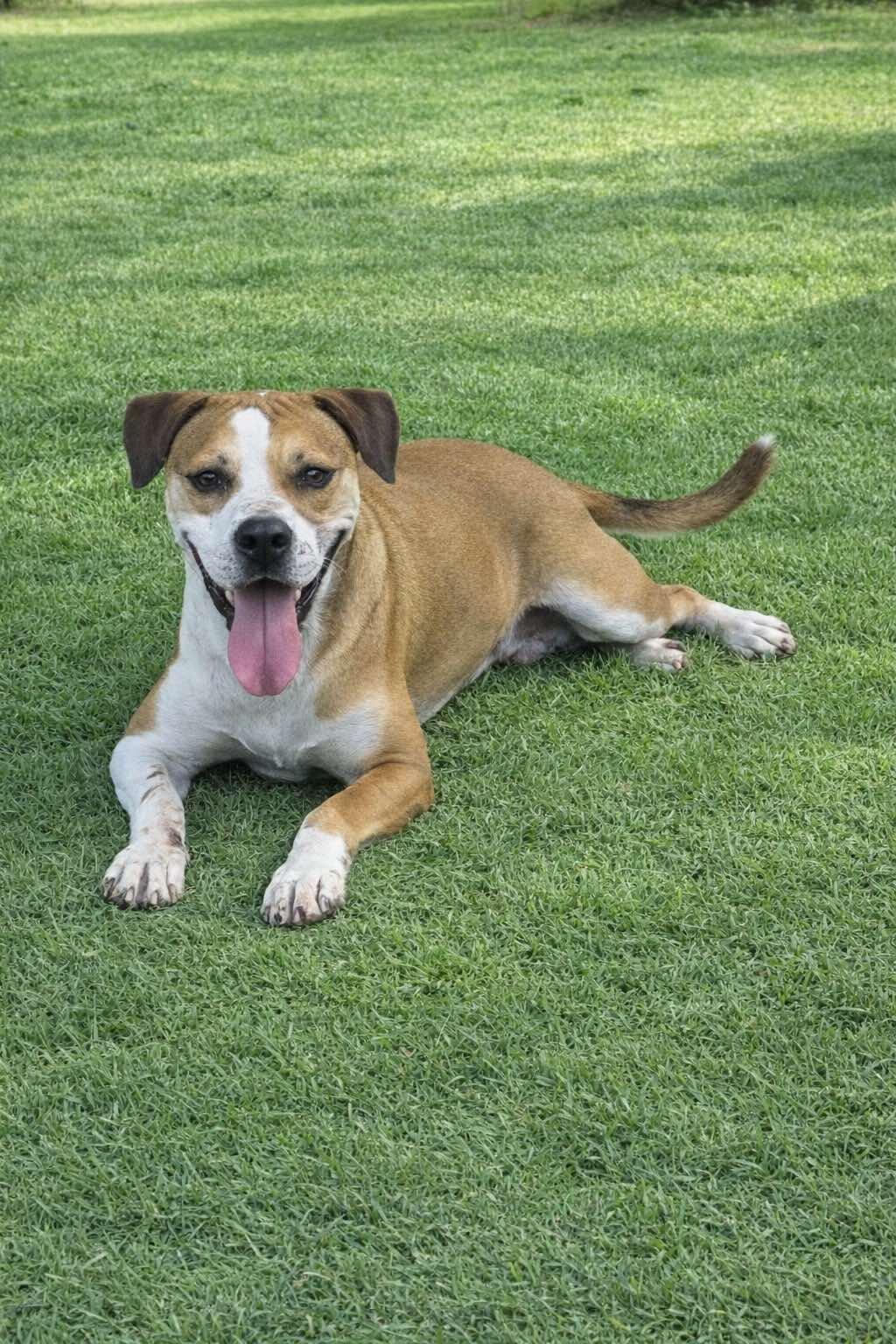 King (20250128-04) — thumbnail 2