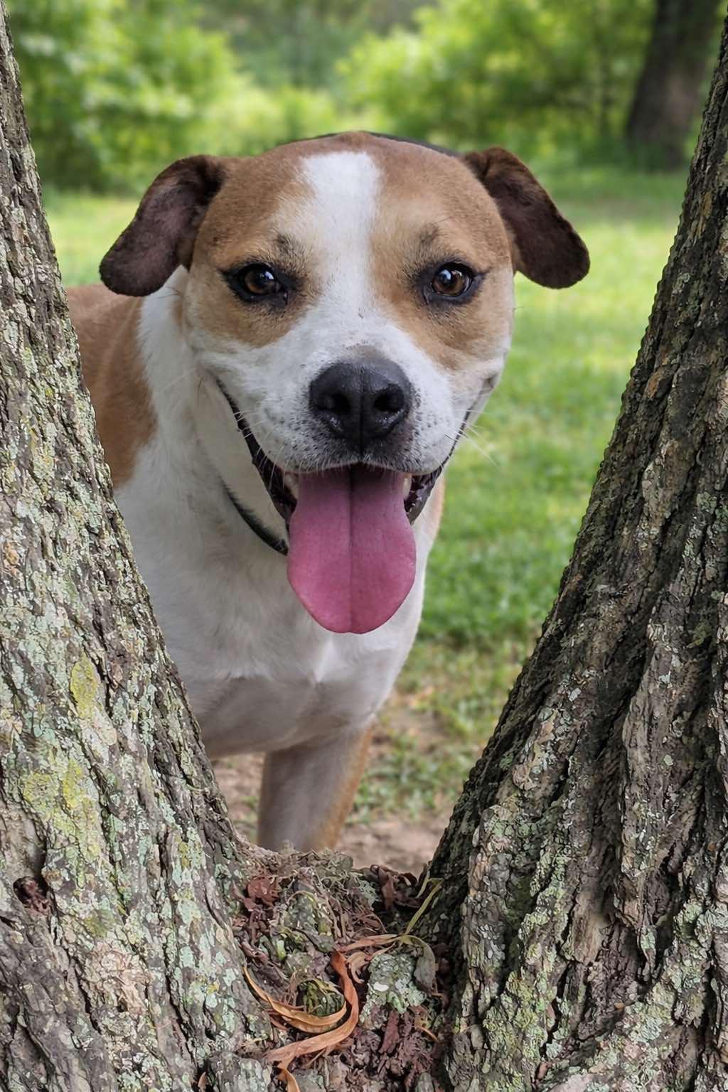 King (20250128-04) — thumbnail 3