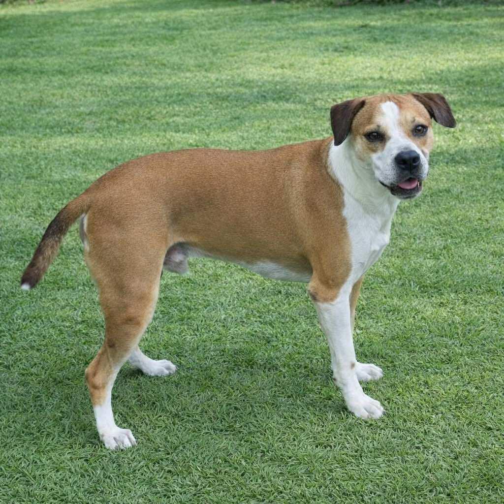 King (20250128-04) — thumbnail 5