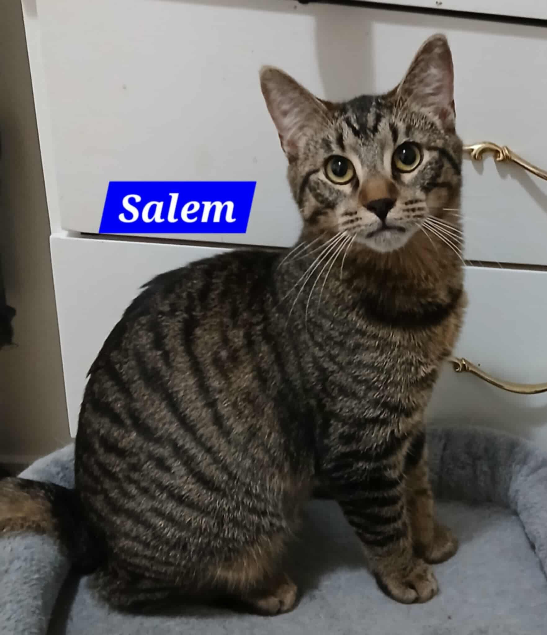 Salem