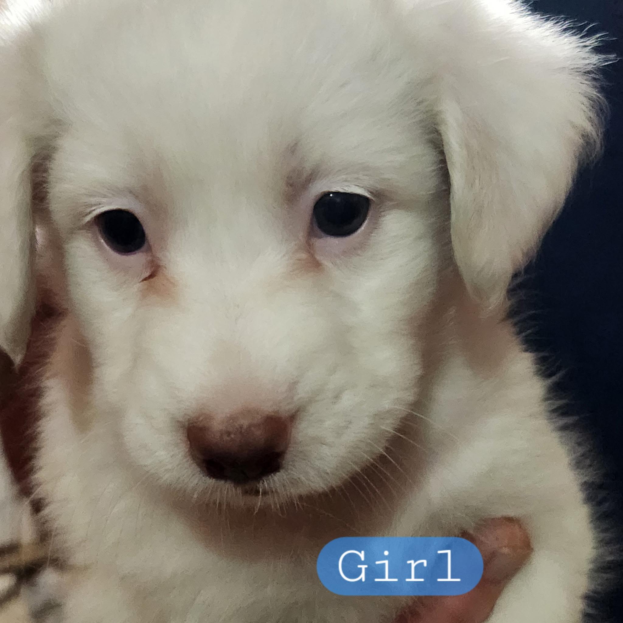 Girl 3
