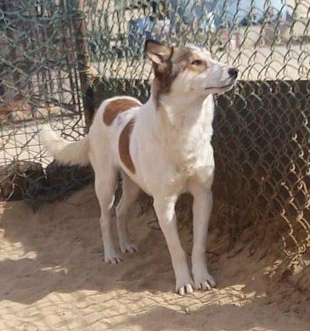 Ella From Egypt thumbnail 4