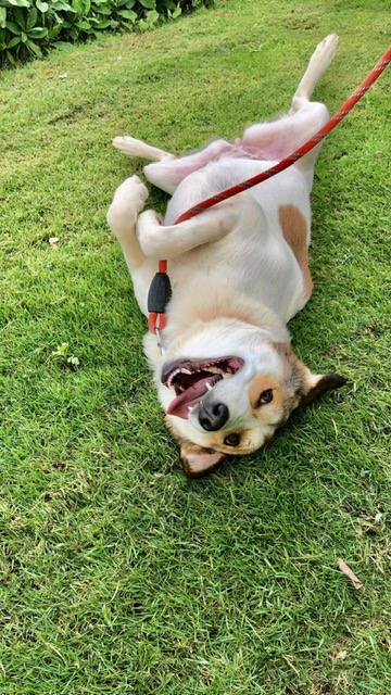 Ella From Egypt thumbnail 6