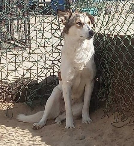 Ella From Egypt thumbnail 5