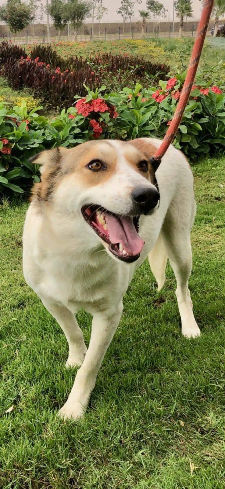 Ella From Egypt thumbnail 3