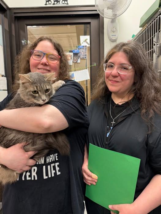 Enlarge Think (TAS #8), a Adopted Domestic Medium Hair in Trenton, NJ image 2/3