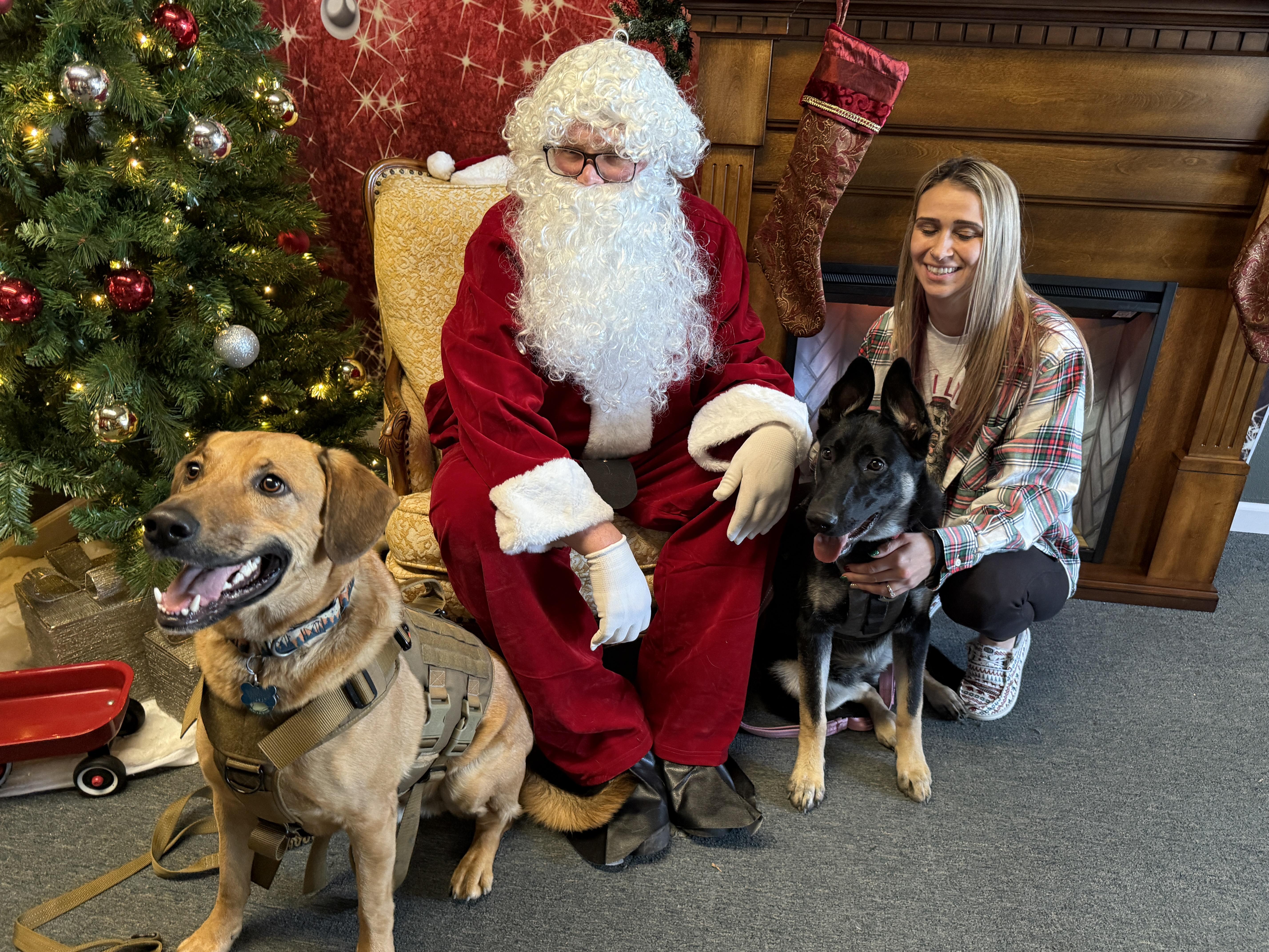 Nova, a ADOPTABLE mixed breed in Roseburg, OR image 4/6