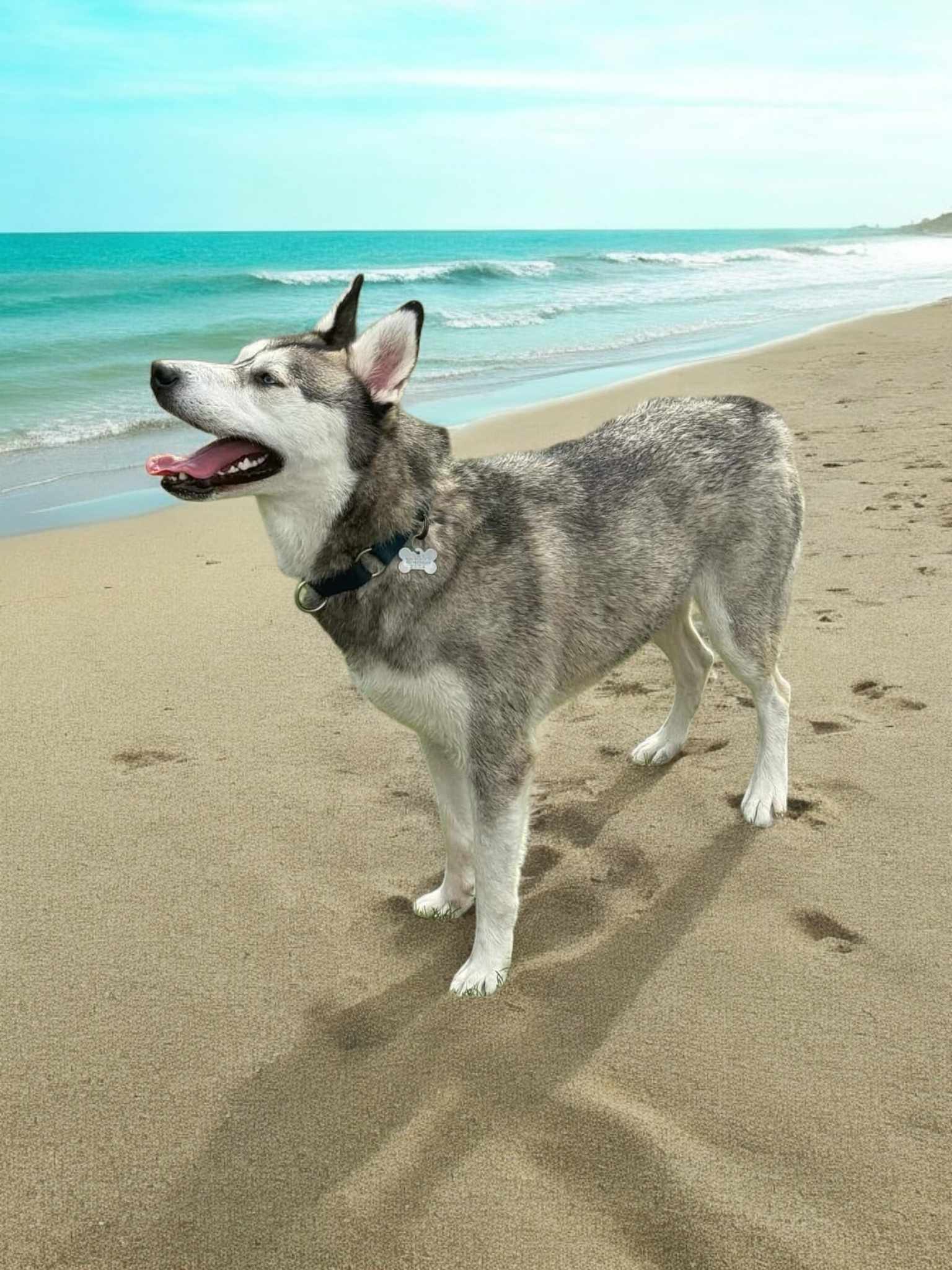 Apollo