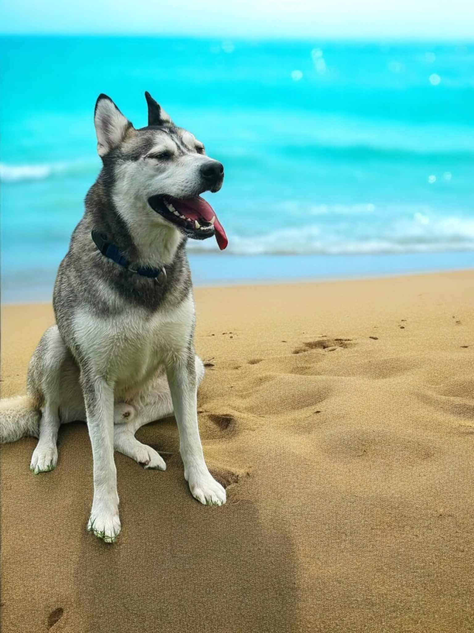 Apollo