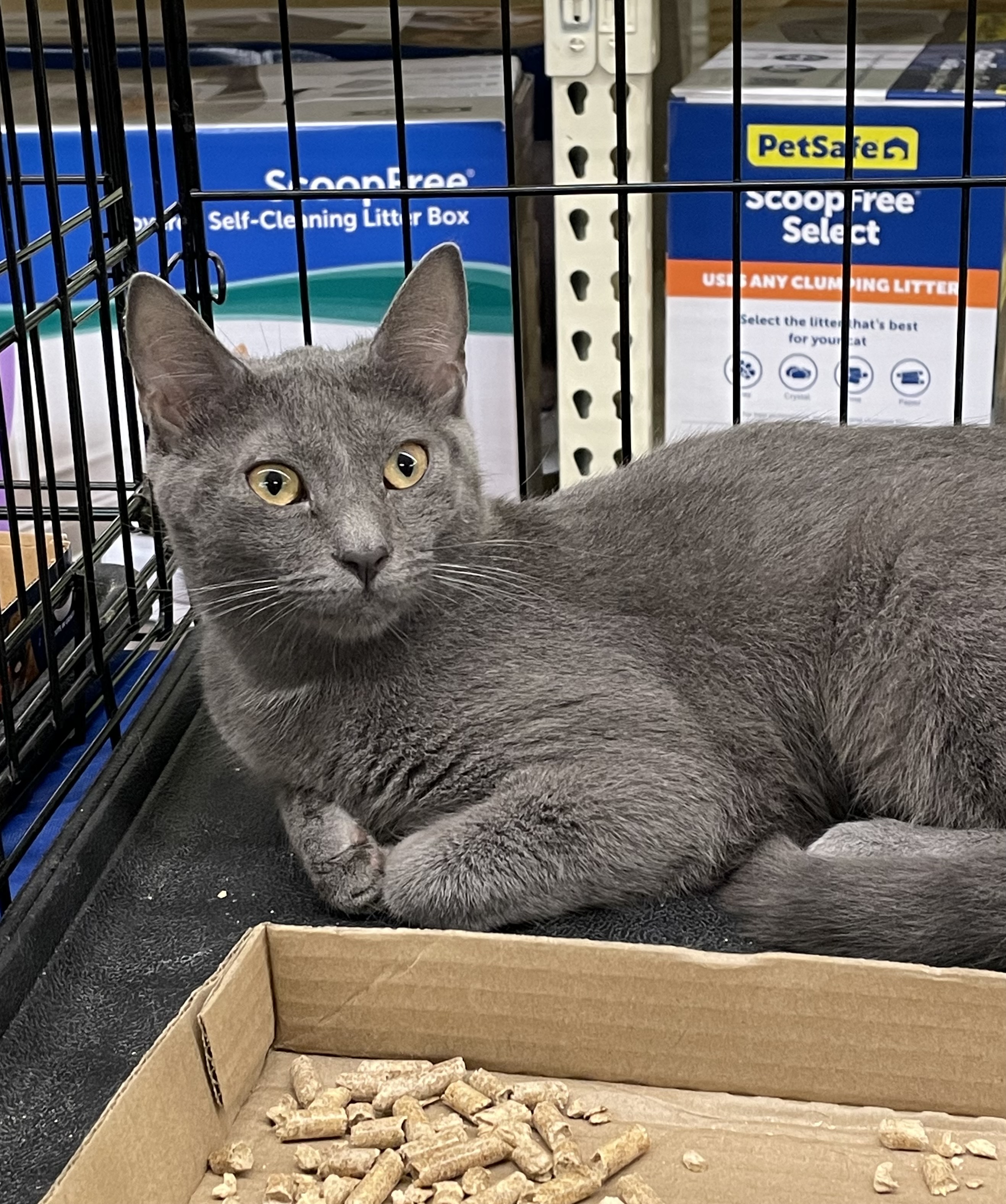 Mary Ellen thumbnail 4