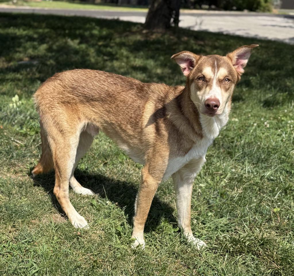 Gabe (in a FOSTER home)