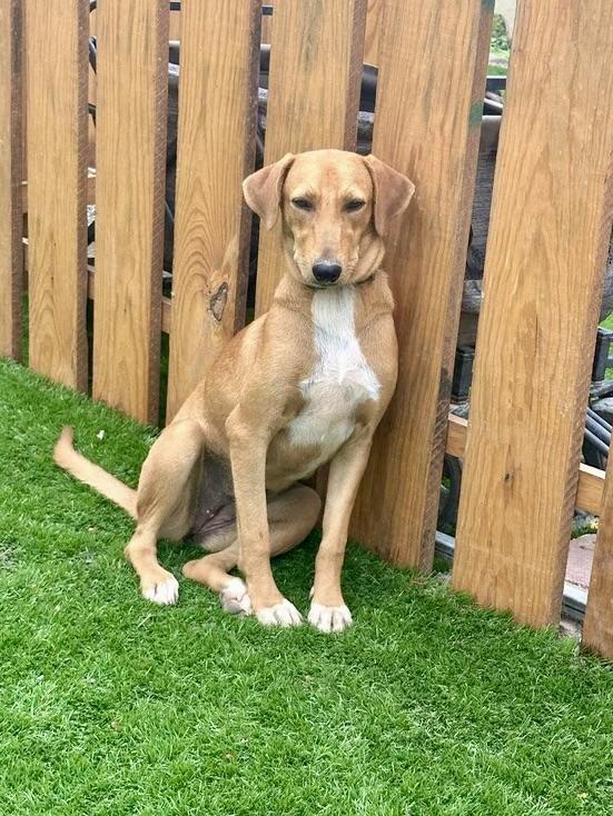 Lenni — thumbnail 3